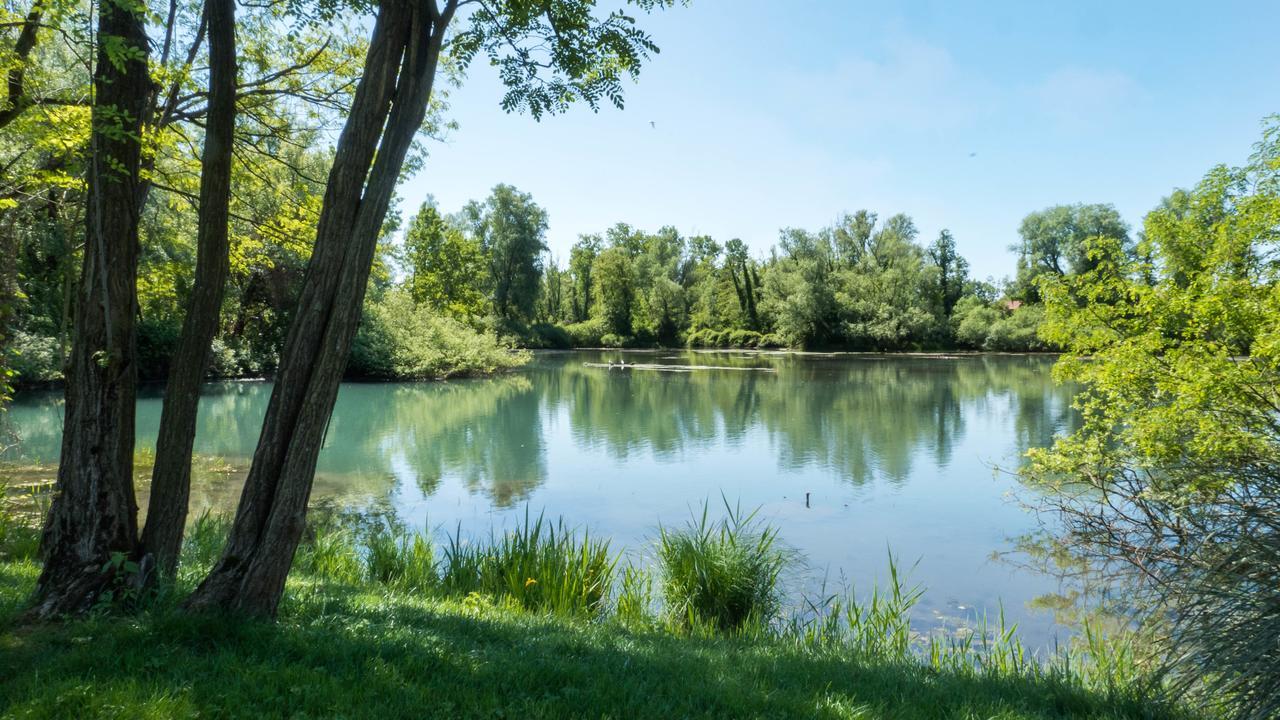 Ca' Del Sile Panzió Morgano Kültér fotó